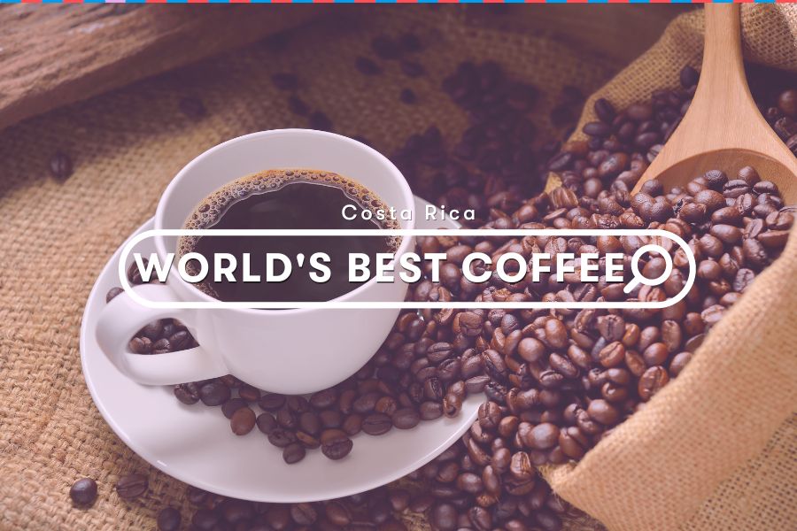 Explore: Costa Rican Coffee