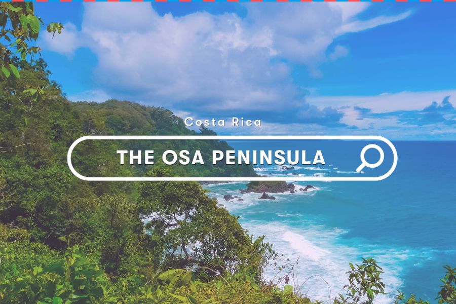 Discovering The Beauty Of The Osa Peninsula