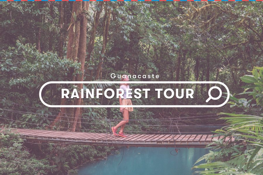 Costa Rica Activities: Rainforest Tour