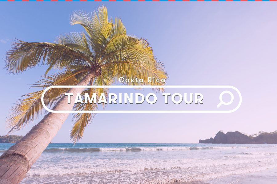 Explore: Tamarindo Tour