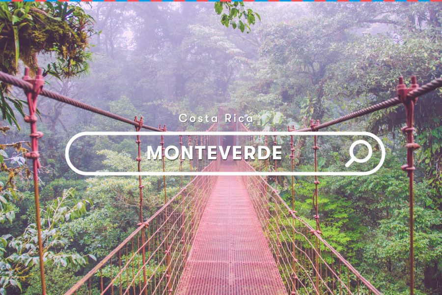 Unbelievable Things To Do In Monteverde Costa Rica